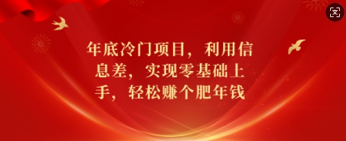 年底冷门项目，利用信息差，实现零基础上手，轻松赚个肥年钱【揭秘】-兵兵资源