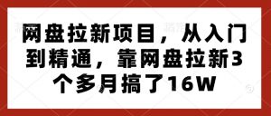 网盘拉新项目，从入门到精通，靠网盘拉新3个多月搞了16W-兵兵资源