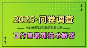 2025问卷调查最新工作室技术解密：一个人在家也可以闷声发大财，小白一天2张，可矩阵放大【揭秘】-兵兵资源