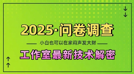 2025问卷调查最新工作室技术解密：一个人在家也可以闷声发大财，小白一天2张，可矩阵放大【揭秘】-兵兵资源