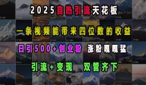 2025自热引流天花板，一条视频能带来四位数的收益，引流+变现双管齐下，日引500+创业粉，涨粉嘎嘎猛-兵兵资源