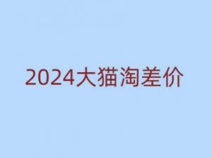 2024版大猫淘差价课程，新手也能学的无货源电商课程-兵兵资源