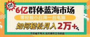 6亿群体蓝海市场,零经验小白用一台电脑,如何轻松月入过w【揭秘】-兵兵资源