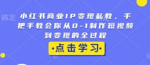 小红书商业IP变现私教,手把手教会你从0-1制作短视频到变现的全过程-兵兵资源