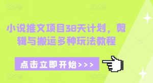 小说推文项目38天计划，剪辑与搬运多种玩法教程-兵兵资源