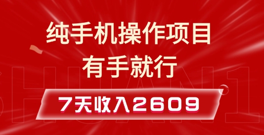 纯手机操作的小项目，有手就能做，7天收入2609+实操教程【揭秘】-兵兵资源