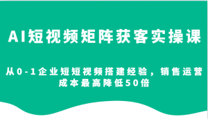 AI短视频矩阵获客实操课,从0-1企业短短视频搭建经验,销售运营成本最高降低50倍-兵兵资源