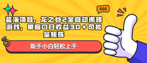 蓝海项目，龙之谷2全自动搬砖游戏，单窗口日收益30＋可批量矩阵-兵兵资源