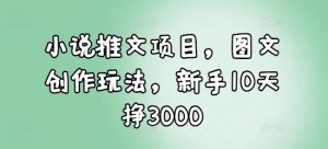小说推文项目，图文创作玩法，新手10天挣3000-兵兵资源