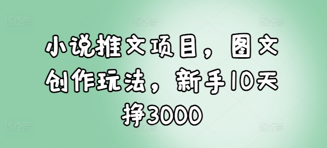小说推文项目，图文创作玩法，新手10天挣3000-兵兵资源