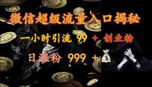 微信超级流量入口揭秘：一小时引流 99 + 创业粉，日涨粉 999 +-兵兵资源