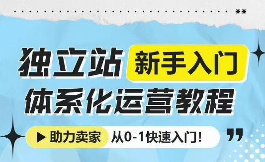 独立站新手入门体系化运营教程，助力独立站卖家从0-1快速入门!-兵兵资源