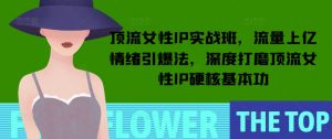 顶流女性IP实战班，流量上亿情绪引爆法，深度打磨顶流女性IP硬核基本功-兵兵资源