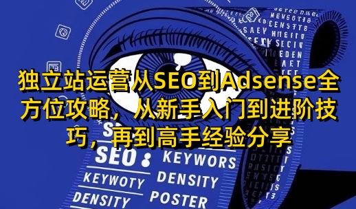 独立站运营从SEO到Adsense全方位攻略，从新手入门到进阶技巧，再到高手经验分享-兵兵资源