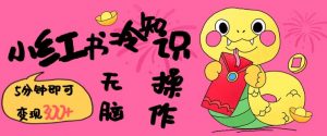 小红书冷知识账号，无脑复制粘贴，5分钟即可变现3张-兵兵资源