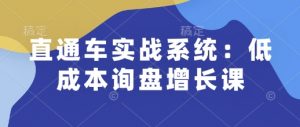 直通车实战系统:低成本询盘增长课,让个人通过技能实现升职加薪,让企业低成本获客,订单源源不断-兵兵资源