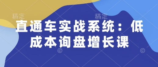 直通车实战系统:低成本询盘增长课,让个人通过技能实现升职加薪,让企业低成本获客,订单源源不断-兵兵资源