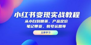 小红书变现实战教程：从小白到精英，产品定价，笔记带货，账号运营等-兵兵资源