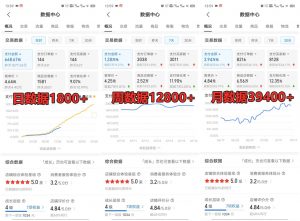 拼多多虚拟店铺项目，电脑挂机自动发货，单店日利润300+-兵兵资源