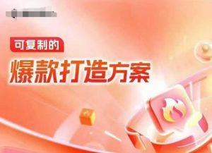 天猫电商爆款运营,可复制的爆款打造方案(线下内训课录音+字幕)-兵兵资源