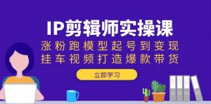 IP剪辑师实操课：涨粉跑模型起号到变现，挂车视频打造爆款带货-兵兵资源