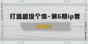 打造 超级个体-第6期ip营:商业认知,产品设计,成交演练,解决知识变现难题-兵兵资源