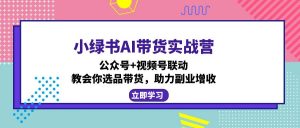 小绿书AI带货实战营：公众号+视频号联动，教会你选品带货，助力副业增收-兵兵资源