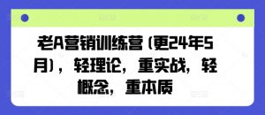 老A营销训练营(更25年1月)，轻理论，重实战，轻概念，重本质-兵兵资源