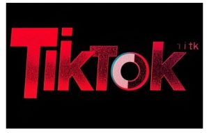 TikTok ads投流秘籍,涵盖tiktok整体投放思路,教你搭建测试计划-兵兵资源