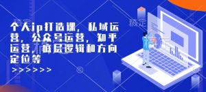 个人ip打造课，私域运营，公众号运营，知乎运营，底层逻辑和方向定位等-兵兵资源