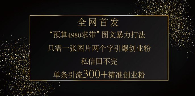 小红书神奇图片引流法，只需一张图，就能单条笔记凭借此方法，轻松引流 300 + 精准创业粉-兵兵资源