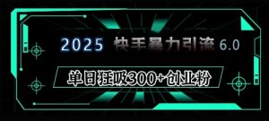 2025年快手6.0保姆级教程震撼来袭，单日狂吸300+精准创业粉-兵兵资源