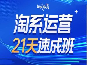淘系运营21天速成班35期，年前最后一波和2025方向-兵兵资源