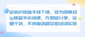 全案IP操盘手线下课，成为现象级ip操盘手必修课，无保留分享，全是干货，不讲废话超深度培训实操-兵兵资源