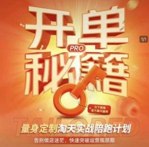 淘宝开单秘籍PRO,量身定制淘天实战陪跑计划,告别做店迷茫、快速突破运营瓶颈期-兵兵资源