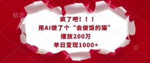 疯了吧！用AI做了个“会做饭的猫”，播放200万，单日变现1k-兵兵资源