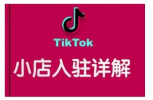 TikTok跨境小店运营全攻略,帮助你独立运营TK跨境小店的能力,实现销量增长-兵兵资源