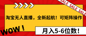 淘宝无人直播，全新起航！可矩阵操作，月入5-6位数！-兵兵资源