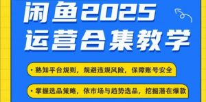 2025闲鱼电商运营全集,2025最新咸鱼玩法-兵兵资源