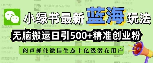 小绿书无脑搬运引流，全自动日引500精准创业粉，微信生态内又一个闷声发财的机会-兵兵资源