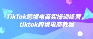 TikTok跨境电商实操训练营,tiktok跨境电商教程-兵兵资源
