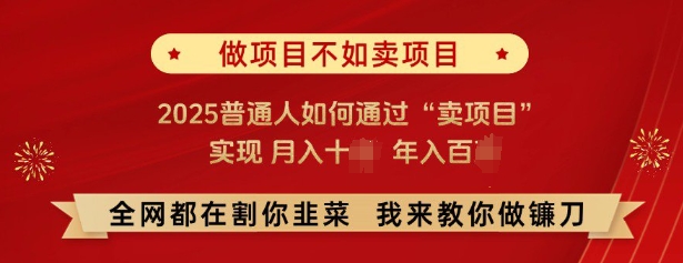 必看，做项目不如卖项目，2025普通人如何通过“卖项目”实现月入十个，年入百个-兵兵资源
