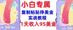 复制粘贴挣美金，0门槛，1天收入95美刀，3分钟学会，内部教程(首次公开)-兵兵资源