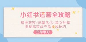 小红书运营全攻略，精准获客+流量优化+软文种草，揭秘高客单产品投放技巧-兵兵资源