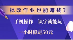 批改作业也能赚钱？0门槛手机项目，识字就能玩！一小时稳定50元！-兵兵资源