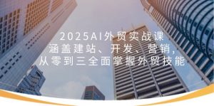 2025AI外贸实战课：涵盖建站、开发、营销, 从零到三全面掌握外贸技能-兵兵资源
