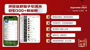 评论区野路子截流创业粉新方法，日被动加300+创业粉，精准引流被动添加...-兵兵资源