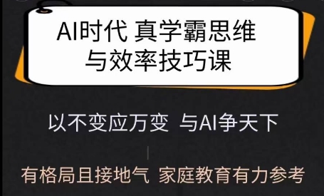 Ai时代真学霸思维与学习方法课,有格局且接地气,家庭教育有力参考-兵兵资源