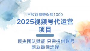 2025视频号代运营 日躺赚1000＋ 只需提供账号-兵兵资源