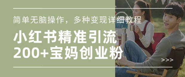 小红书混剪日引200+宝妈创业粉，简单无脑操作，多种变现详细教程-兵兵资源